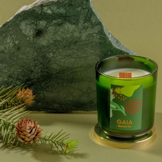 FRASER FIR