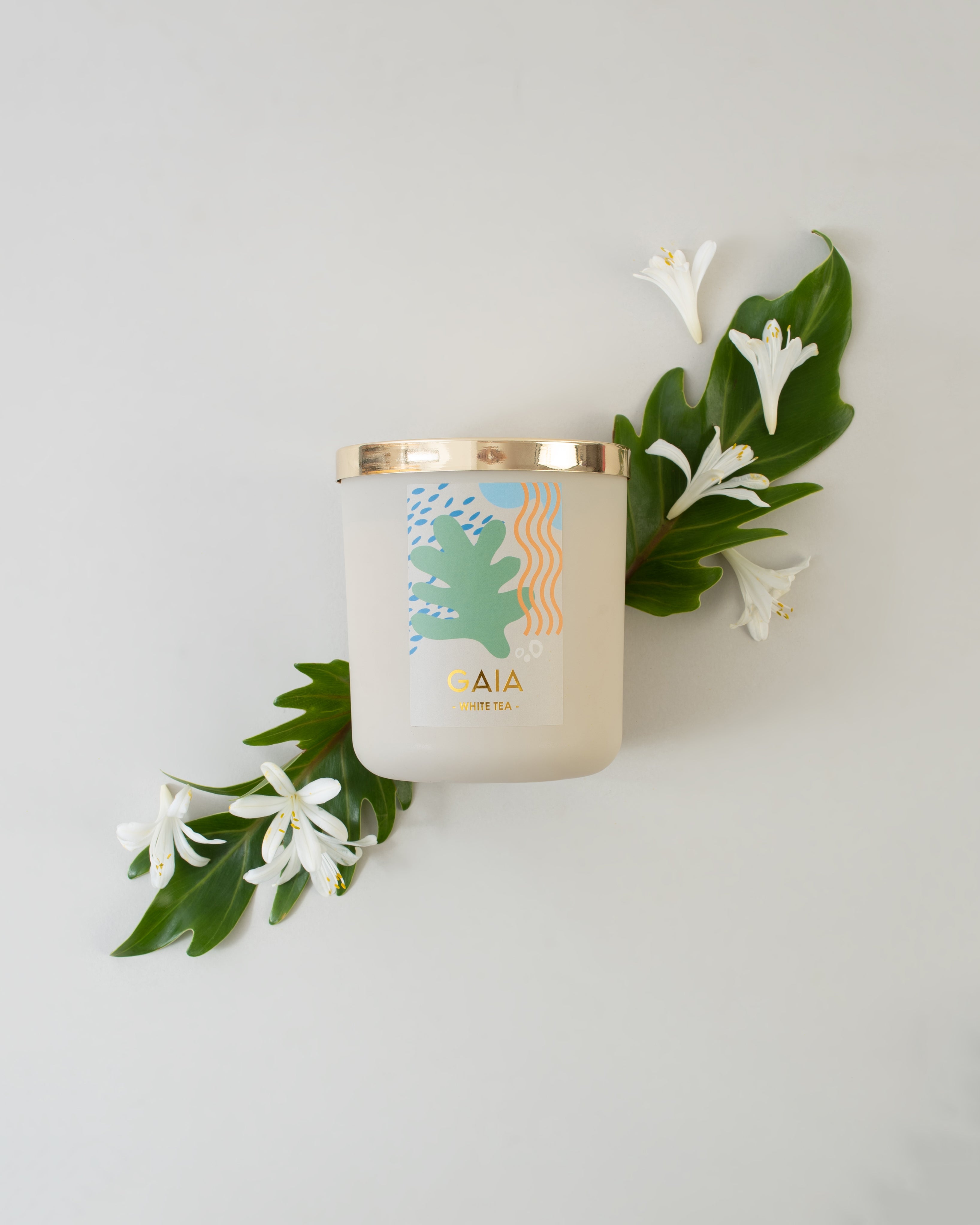 WHITE TEA