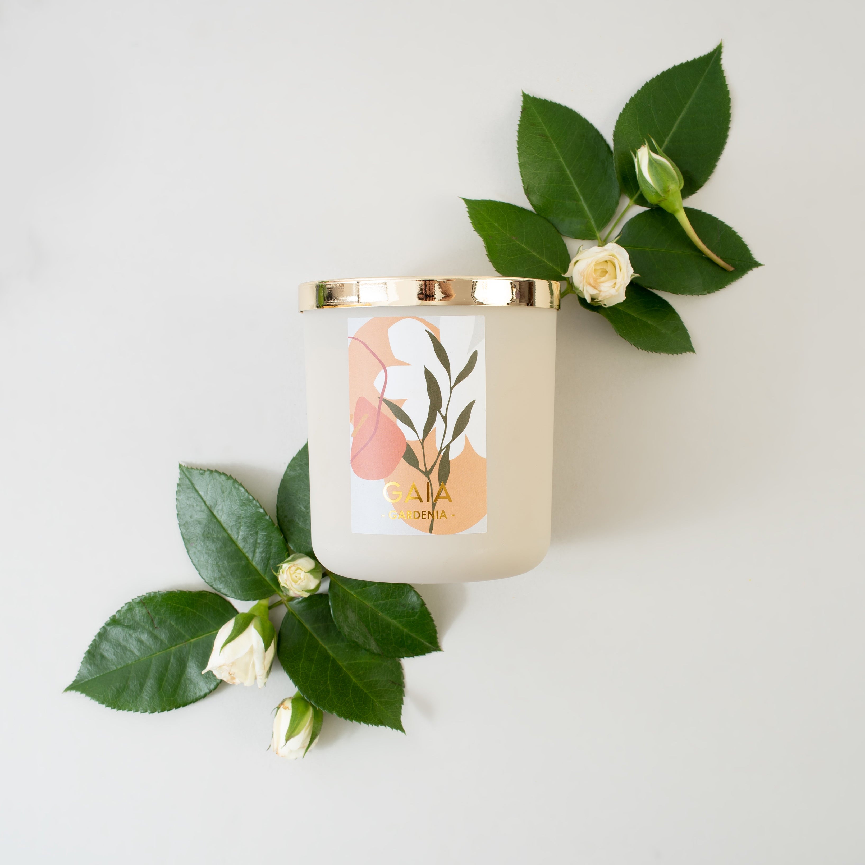 GARDENIA