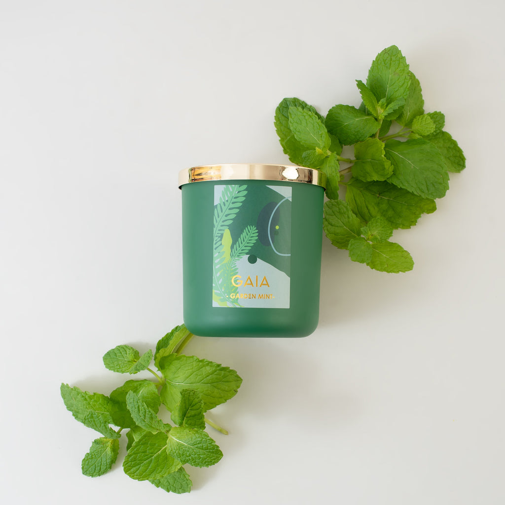 GARDEN MINT