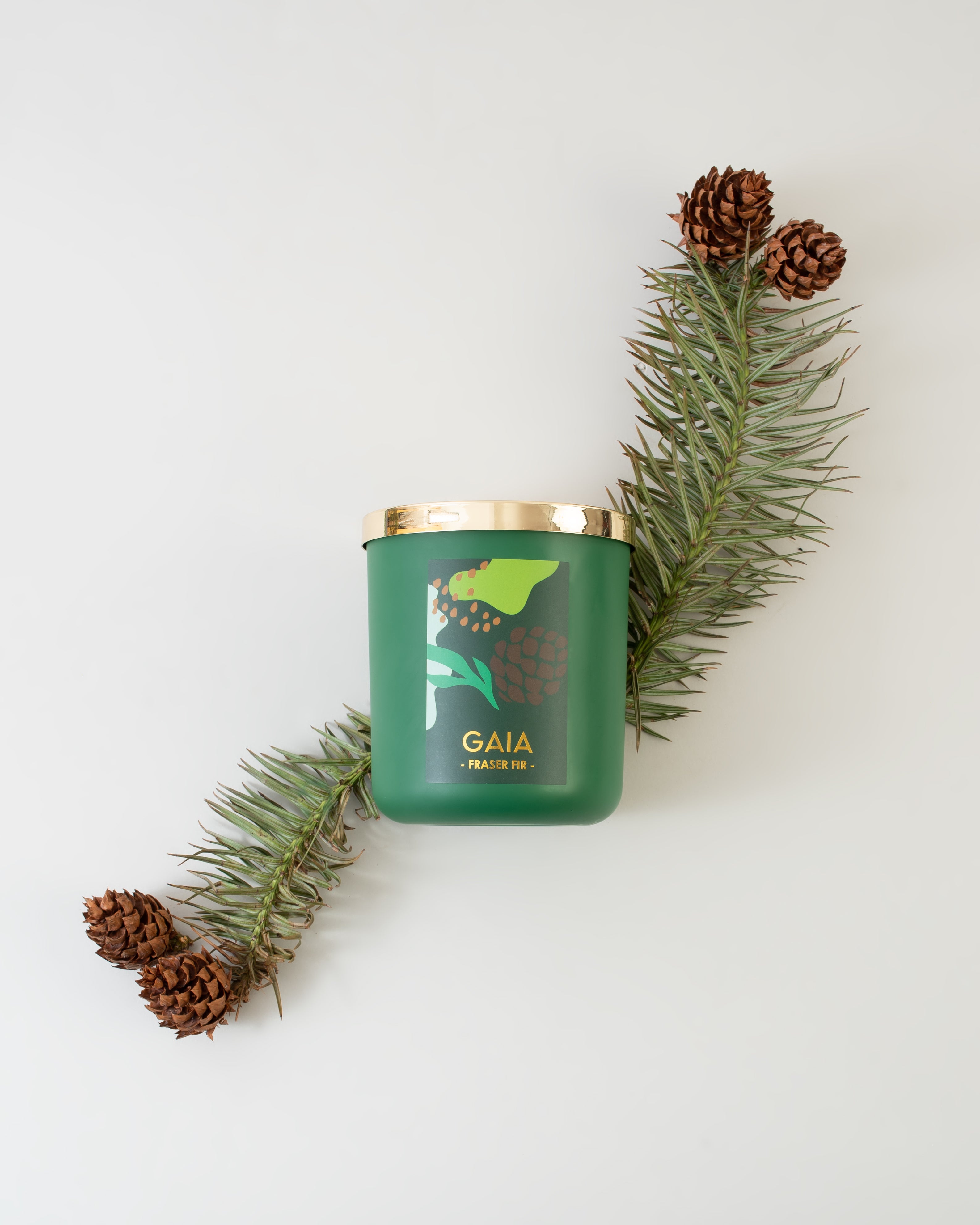 FRASER FIR