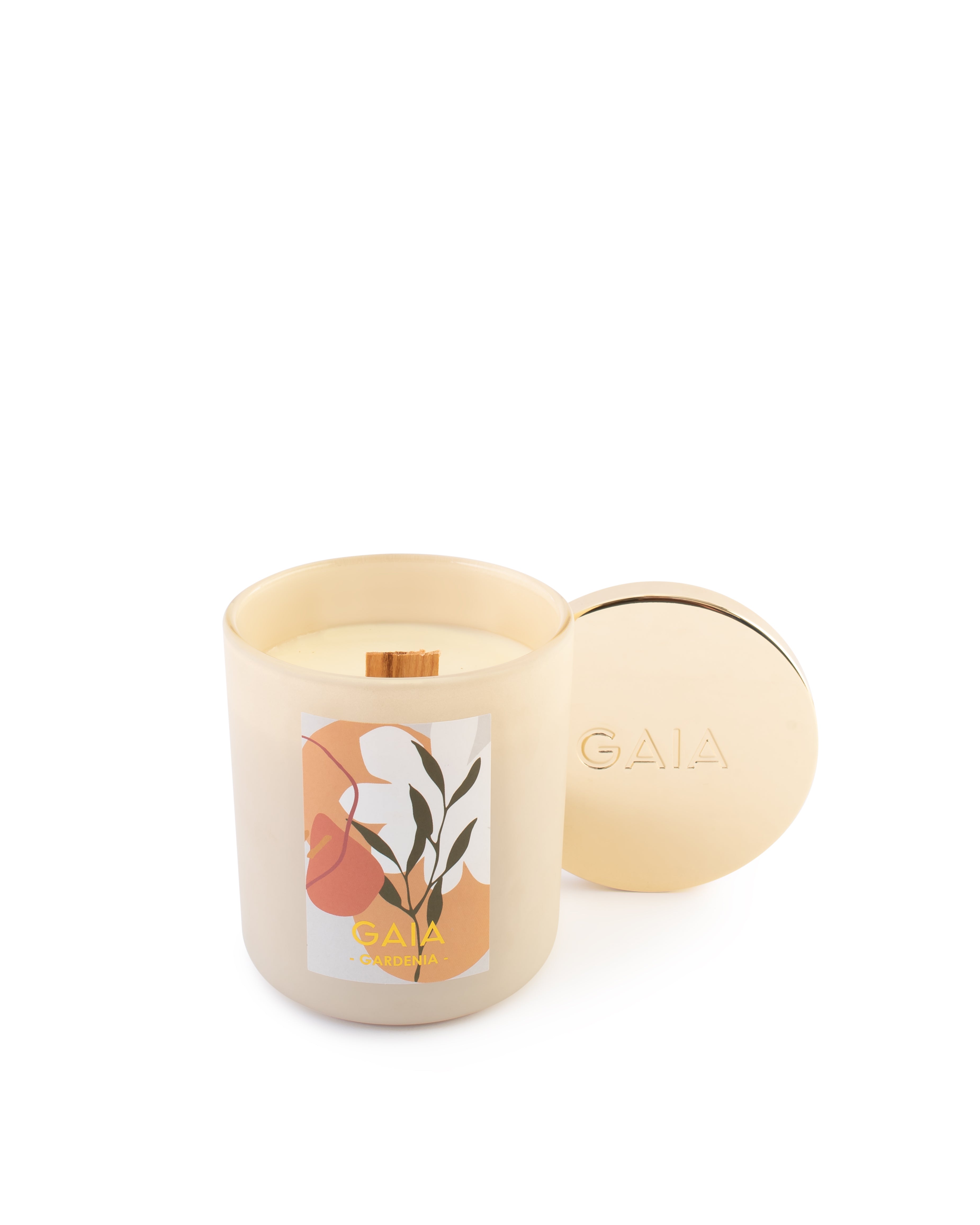 GARDENIA